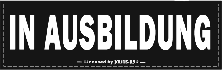 in Ausbildung