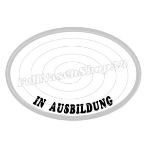 In Ausbildung